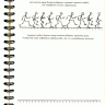 Sketchbook Скетчбук Аніматора 