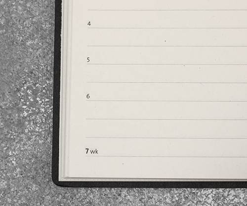 Щоденник Ciak Trend на 2026 рік великий 15 х 21 см смарагдовий