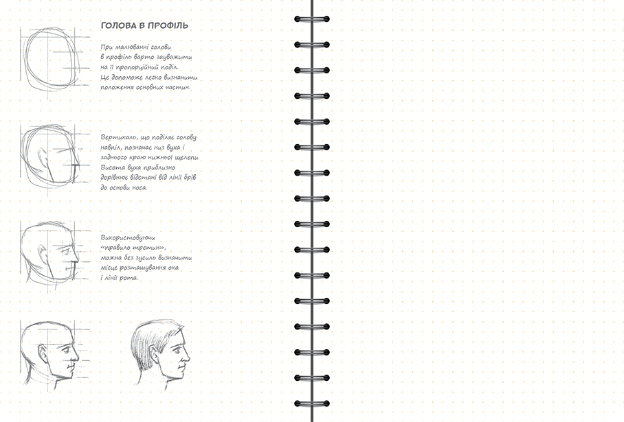 Sketchbook Базовий Рівень