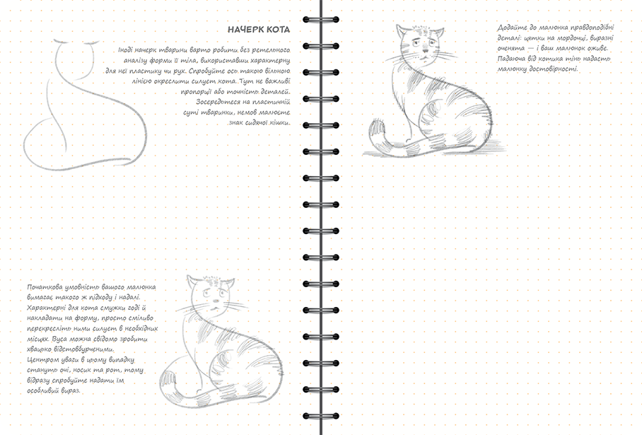 Sketchbook Базовий Рівень