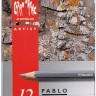 Набір водостійких олівців Caran d'Ache Pablo 12 штук
