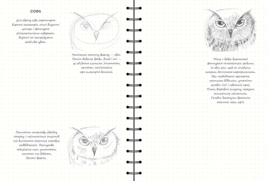 Sketchbook Досвідчений Рівень