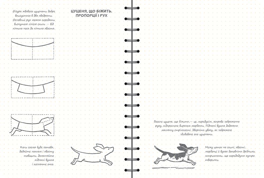 Sketchbook Малюємо За 30 Секунд