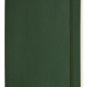 Блокнот Moleskine Classic великий 19 x 25 см нелінований миртовий зелений м'який