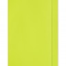 Блокнот Moleskine Classic великий 19 x 25 см в лінію лимонний зелений м'який