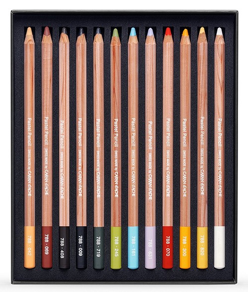 Набір пастельних сухих олівців Caran d'Ache Artist 12 штук