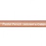 Набір пастельних сухих олівців Caran d'Ache Artist 12 штук