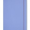 Блокнот Moleskine Classic великий 19 x 25 см в лінію блакитна гортензія