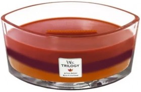 Ароматична свіча WoodWick Ellipse Trilogy Autumn Harvest 453 г