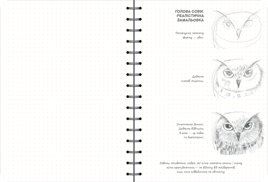 Sketchbook Малюємо Тварин
