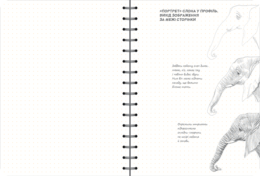 Sketchbook Малюємо Тварин