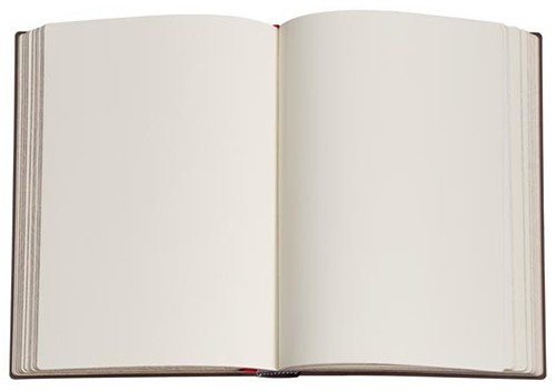 Блокнот Paperblanks Розкішний Дизайн А4 21 х 30 см нелінований