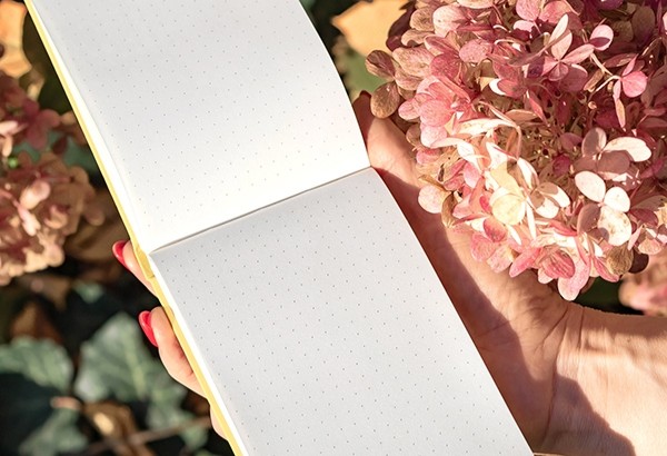 Блокнот Leuchtturm1917 Reporter Notepad кишеньковий 9 х 15 см в крапку пудровий 