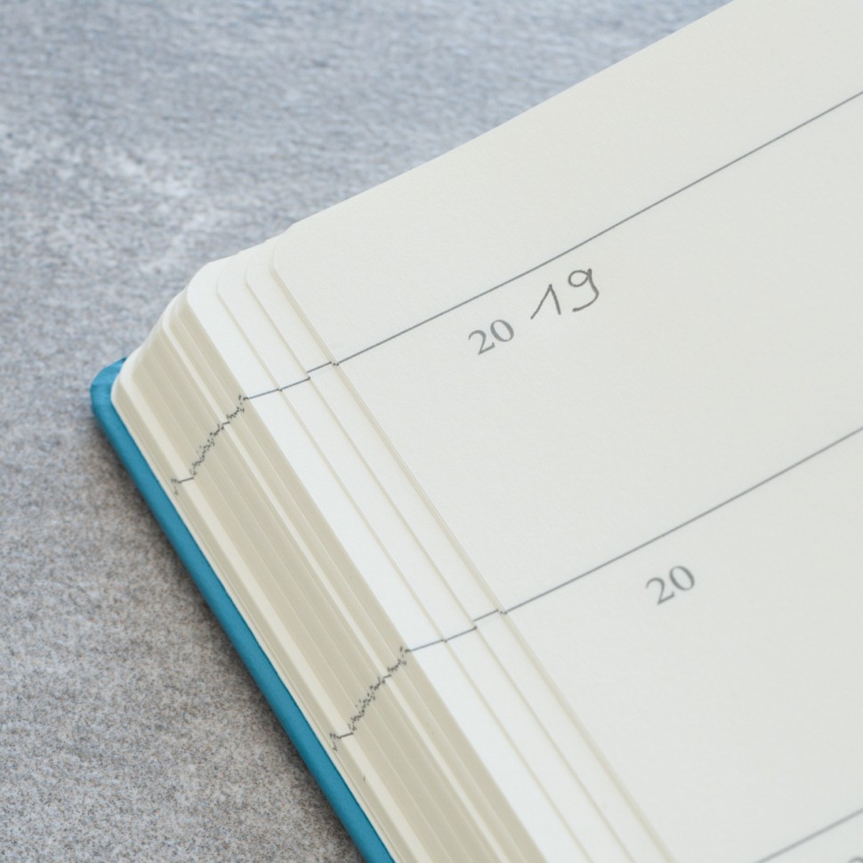 Щоденник Leuchtturm1917 Some Lines a Day на 5 років середній 14,5 х 21 см пудровий