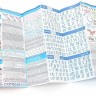 Ручка для каліграфії Pilot Parallel Pen 6,0 мм