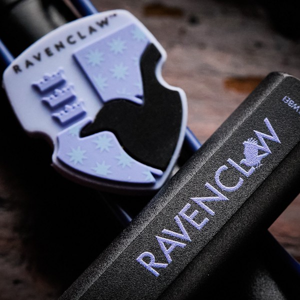 Чорнильна ручка Lamy Safari x Harry Potter Ravenclaw чорна з синім перо EF (дуже тонке)
