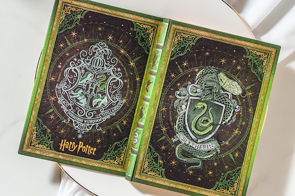 Блокнот Paperblanks Гаррі Поттер Слізерін середній 12 х 18 см нелінований