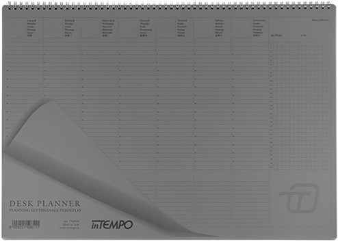 Настільний планер inTempo Maxi 50 х 35 см 