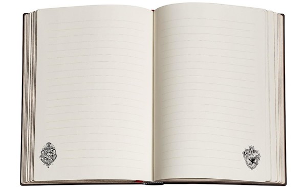 Блокнот Paperblanks Гаррі Поттер Равенкло середній 12 х 18 см в лінію