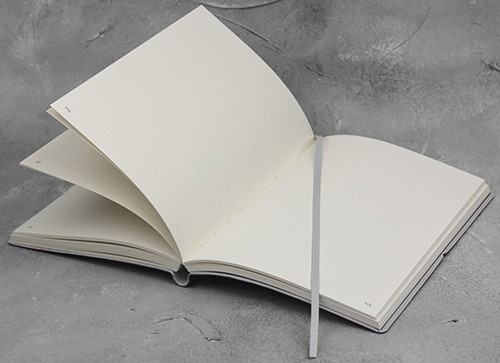 Планер Ciak середній 13 х 17 см в лінію зелений