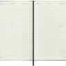 Вертикальний щотижневик Moleskine PRO на 2025 рік середній 13 х 21 см чорний