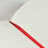 Блокнот Paperblanks Манускрипти Льюїс Керролл Аліса кишеньковий 10 х 14 см в лінію