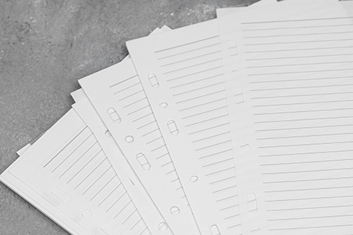 Вставка InTempo в органайзер формат А5 14 х 21,5 см в лінію