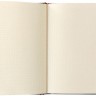 Блокнот Paperblanks Хризантеми Моне середній 12 х 18 см в крапку