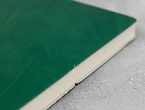 Блокнот Ciak великий 15 х 21 см в крапку зелений