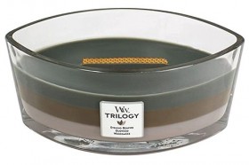 Ароматична свіча WoodWick Ellipse Trilogy Cozy Cabin 453 г