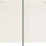 Щоденник Moleskine на 2025 рік середній 13 х 21 см миртовий зелений м'який