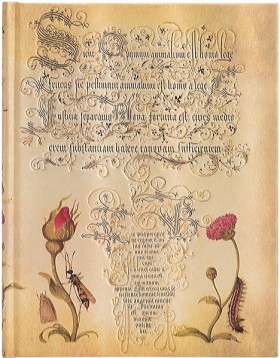 Блокнот Paperblanks Ботанічні Дива Фламандська Троянда великий 18 х 23 см в лінію