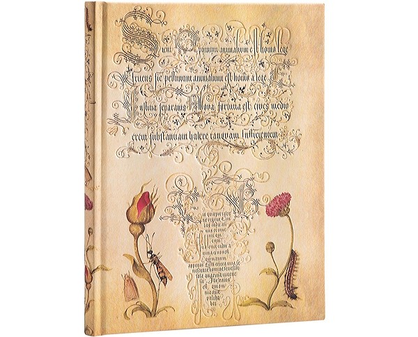 Блокнот Paperblanks Ботанічні Дива Фламандська Троянда великий 18 х 23 см в лінію