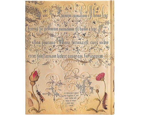 Блокнот Paperblanks Ботанічні Дива Фламандська Троянда великий 18 х 23 см в лінію