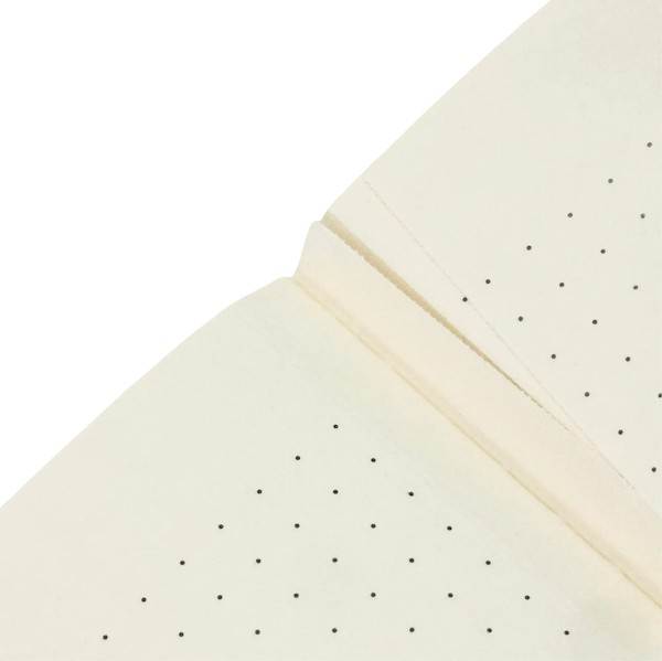 Зошит Paperblanks Cahier Хризантеми Моне 14,9 х 21 см в крапку