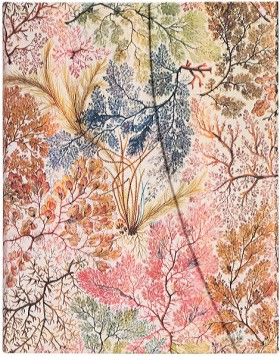 Блокнот Paperblanks Анемона великий 18 х 23 см в лінію