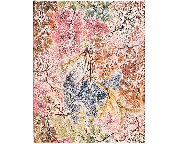 Блокнот Paperblanks Анемона великий 18 х 23 см в лінію