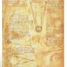Блокнот Paperblanks Манускрипти Леонардо да Вінчі Нариси Flexi середній 13 х 18 см в лінію