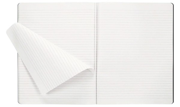 Зошит Moleskine Cahier Sakura Imprint великий 19 х 25 см в лінію рожевий