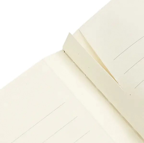 Зошит Paperblanks Cahier Фіолетова Фея 21 х 29,7 см в лінію