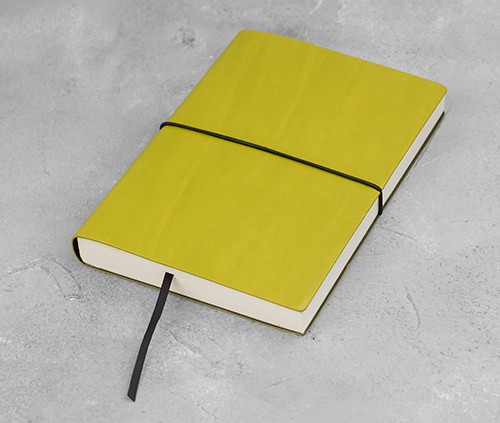 Щоденник Ciak на 2021 рік великий оливковий