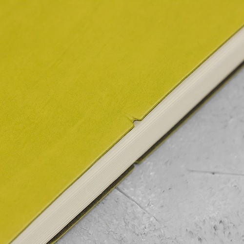 Щоденник Ciak на 2021 рік великий оливковий