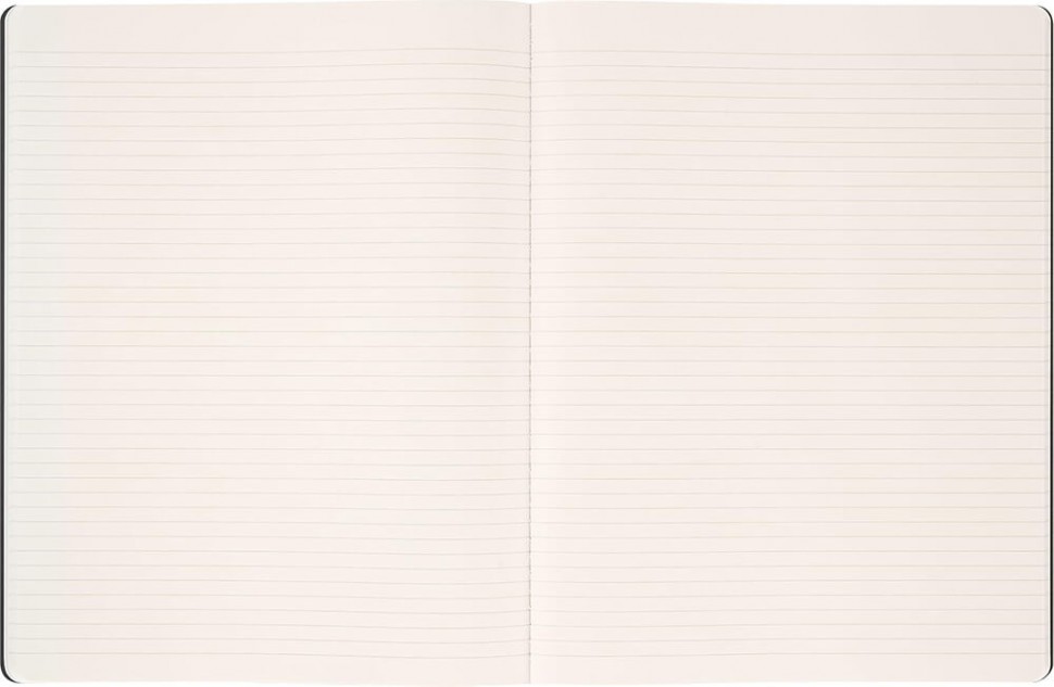 Зошит Moleskine Cahier Year of the Horse великий 19 х 25 см в лінію