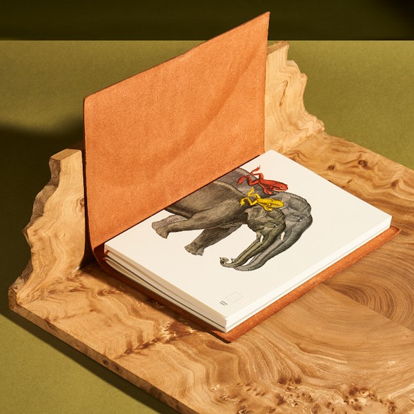 Змінний блок Paper Republic x The Dybdahl Co. Animal Companions XL в крапку 120 г/м²