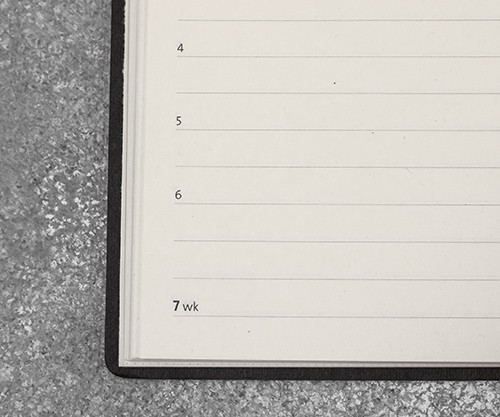 Щоденник Ciak Natural на 2021 рік великий сірий