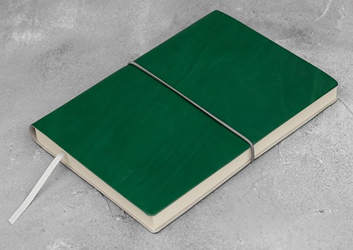 Планер Ciak великий 15 х 21 см в лінію зелений