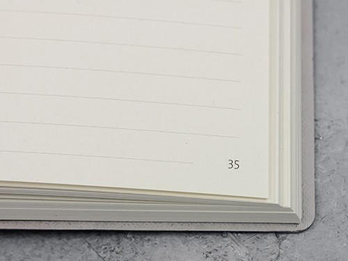 Планер Ciak великий 15 х 21 см в лінію кораловий