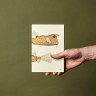 Змінний блок Paper Republic x The Dybdahl Co. Reef XL в крапку 120 г/м²