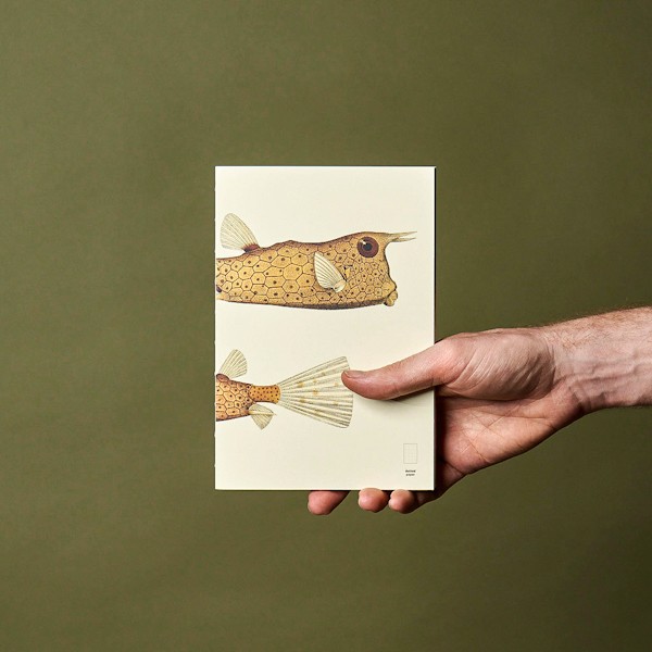 Змінний блок Paper Republic x The Dybdahl Co. Reef XL в крапку 120 г/м²