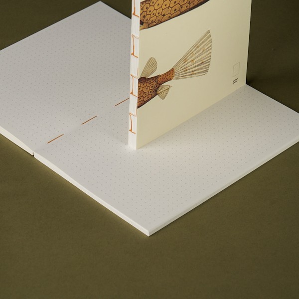 Змінний блок Paper Republic x The Dybdahl Co. Reef XL в крапку 120 г/м²